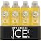 Sparkling Ice Sparkling Ice Coconut Pineapple 17 oz., PK12 FG00053 - alternate 5